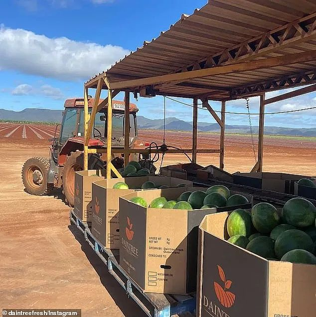 果农怒了！澳洲农民“起义”：宁愿出口日本，也不卖Coles和Woolies！