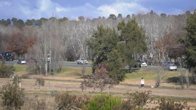 荒唐！堪培拉一男子在Mawson绑架慢跑女性，试图将其抱起并带走