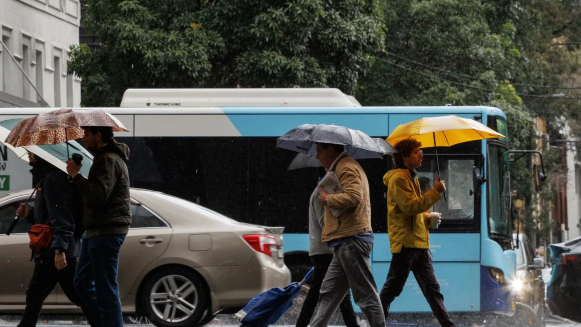 澳洲各地迎来雨水天气，堪培拉本周小概率阵雨伴随降温