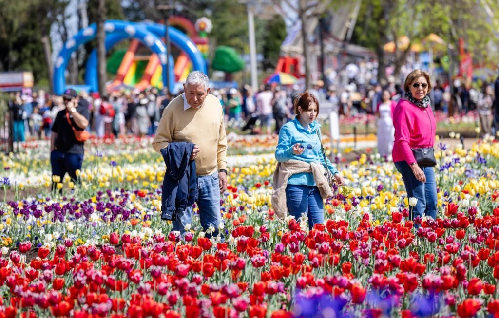 堪培拉第37届花展开幕！快来寻找梵高《星夜》的灵感花坛