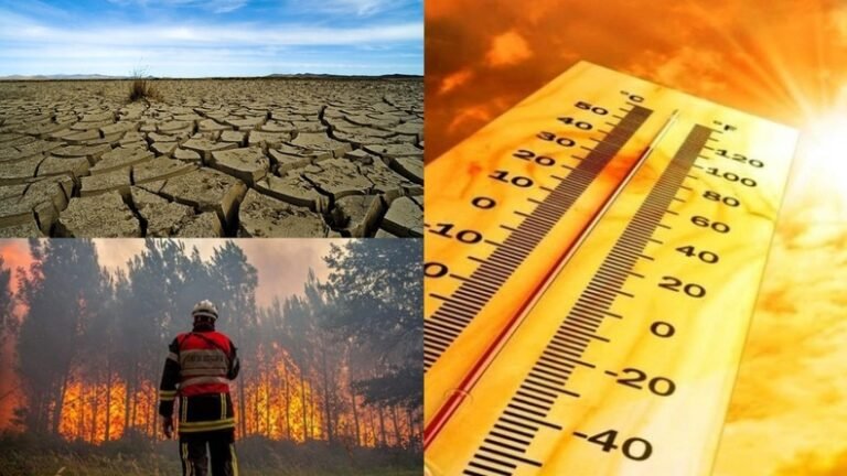 Extreme temperatures costing Australian workforce 60.6 mln USD annually: study