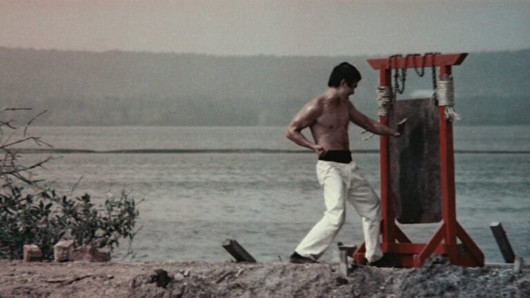 Asian Film Archive-《Ring of Fury》